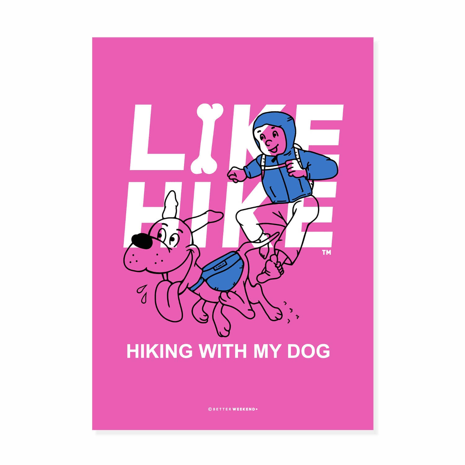 Like Hike A3 Poster